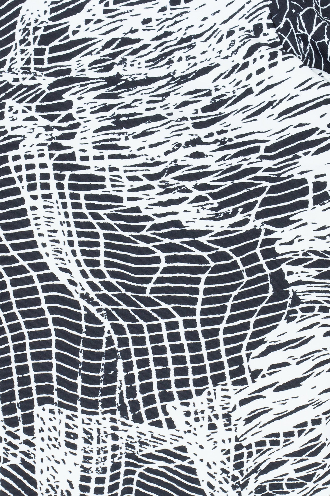 Legging Crazy Print - Amni, Black and White Web
