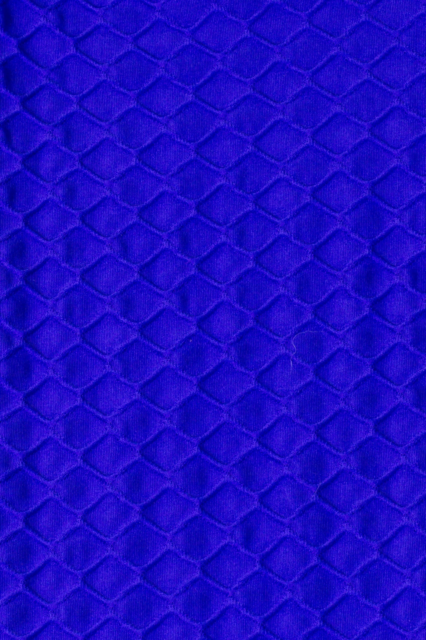 Legging Full Length Wallpaper - Amni, Royal Blue